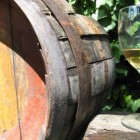 TRADIZIONE – Fiumi di vino in tutta la Tuscia