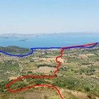 EN PLEIN AIR – Passeggiata al lago di Bolsena in compagnia degli asini