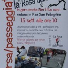 EN PLEIN AIR – Corsa-passeggiata “La Rosa della pace”