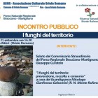 CONFERENZE – I funghi del territorio protagonisti a Palazzo Altieri