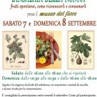 APPUNTAMENTI – Al Museo del Fiore protagonista “L’insalata della nonna”