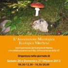 MOSTRE – I funghi della Tuscia in mostra agli Almadiani