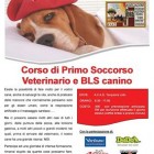 APPUNTAMENTI – Primo soccorso veterinario, tutto pronto per il corso