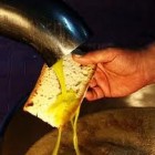 TRADIZIONE – Tutta la Tuscia celebra l’olio, oro verde degli Etruschi