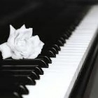 MUSICA – Stagione concertistica Unitus, si esibisce la pianista Piansini