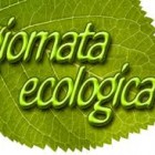 APPUNTAMENTI – Giornata ecologica, tutto pronto a Civita