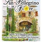 IN PIAZZA – Torna la suggestione di S.Pellegrino in Fiore