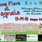 FIERE – Animali da cortile in mostra a Bagnaia