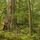 CONVEGNI – Focus sulla biodiversità della foresta a scopo alimentare