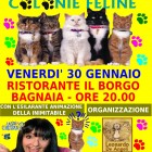 APPUNTAMENTI – Gatti’s pizza, cena di beneficenza per le colonie feline