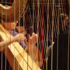 MUSICA – Kronos harp ensamble in concerto all’Università