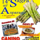 SAGRE – A Canino la Sagra dell’asparago e la frittata più grande del mondo