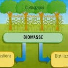 CONFERENZE – Focus sulle biomasse con il prof. Nathan Morrow