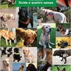 LIBRI – Guide a quattro zampe, presentazione dell’ Unione Italiana Ciechi